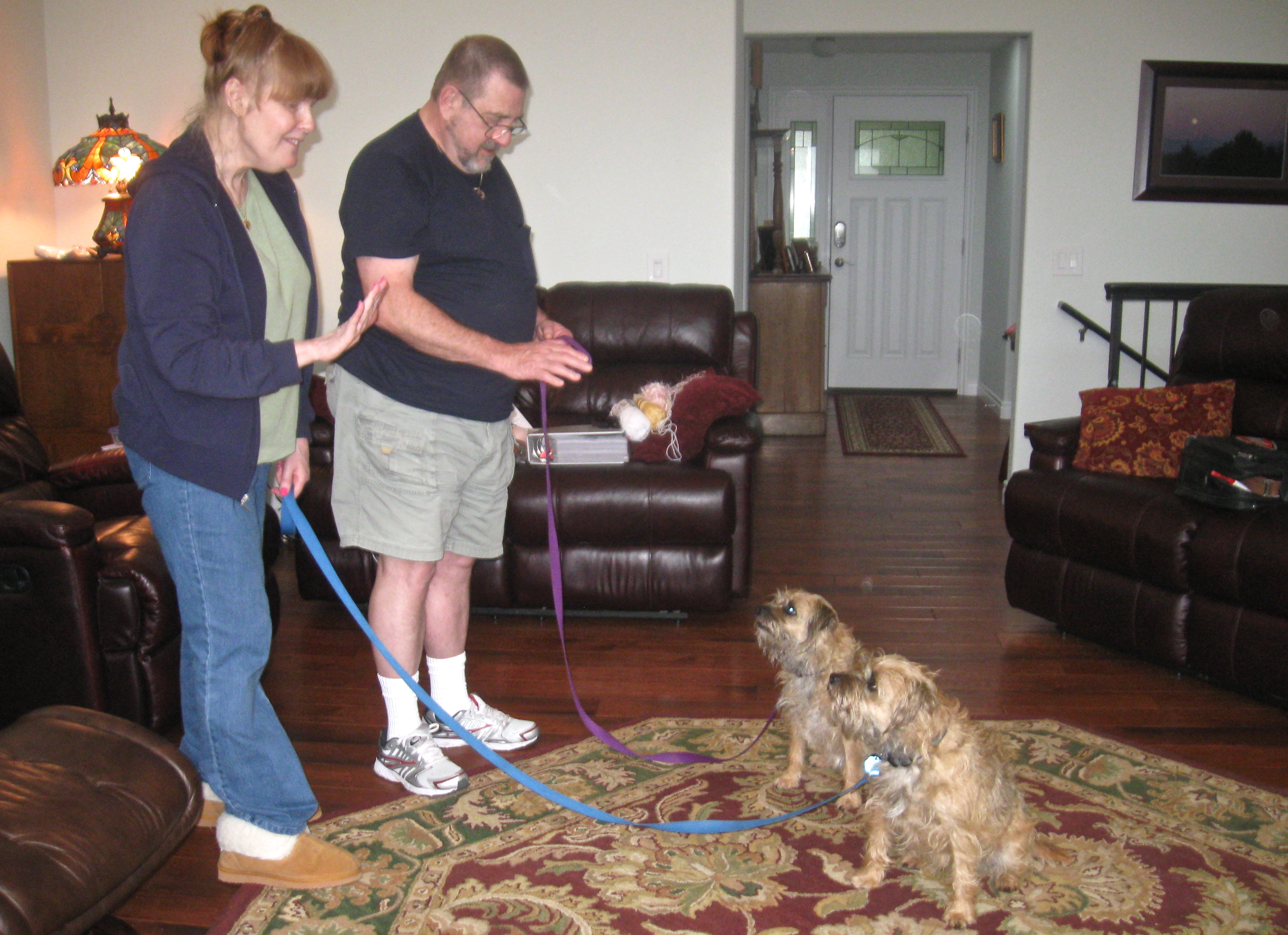 in home obedience training